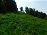 Teichalm (Teichalmsee) - Tonneggerkogel