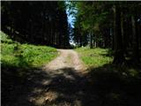 Podkraj / Unterort - Wackendorfer Spitze