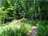 Jesenovo - Črni vrh (Čemšeniška planina)