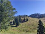 Podgorska planina ob vračanju