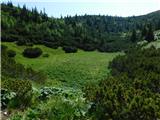 Raxalm-Berggasthof (Rax) - Heukuppe (Rax)