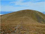 Parkirišče Hoyer (Neuhofgraben) - Lenzmoarkogel (Glinska planina / Gleinalpe)