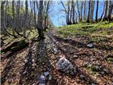 Odcep s ceste na Jelovo Rujo - Visočica