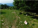 Drežnica - Koča na planini Kuhinja
