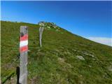 Oberfresen (Brendlwald) - Bürgerhalt (Golica /Koralpe)