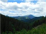 Javorje (Mala Črna) - Črno jezero (Končnikova mlakuža)