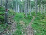 Niederalpl Ort - Hohe Veitsch
