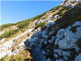 Robanov kot - Veliki vrh (Veža)