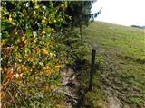 Alpl (Waldschulle Alpl) - Holta-Hütte (Rattner Alm)