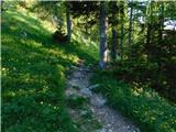 Preiner Gscheid - Neue Seehütte
