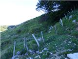 Planina Zapleč - Kal (greben Krnčice)