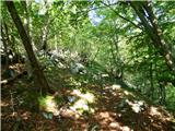 Hotel Boka - Planina Baban