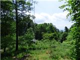 Jesenovo - Črni vrh (Čemšeniška planina)