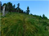 Pod Hlipovcem - Veliki Travnik (Turnovka)