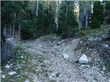 Planina Ravne - Veliki vrh (Veža)