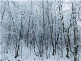 Loka pri Žusmu (Hudi graben) - Plešivec (Rudnica)