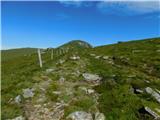 Oberfresen (Brendlwald) - Großer Speikkogel (Golica / Koralpe)