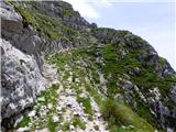 Planina Zapleč - Srednji vrh (at Krn)