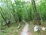Planina Polog - Planina Prode