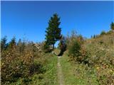 Aflenz Kurort (Bürgergraben) - Bürgeralm