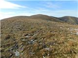 Parkirišče Hoyer (Neuhofgraben) - Lenzmoarkogel (Glinska planina / Gleinalpe)