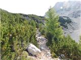 Ravenska Kočna - Kranjska Rinka