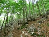 Tam na Meji - Lanževica / Punta Lausciovizza