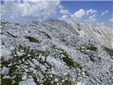 Bavšica - Bavški Grintavec