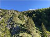 To the right today's gully and above the snow-covered peak of Storžič