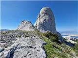 Stapina