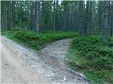 Alpl (Zisleranger Weg) - Holta-Hütte (Rattner Alm)