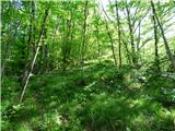 Planina Polog - Žlejžn