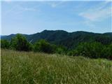 Lesično - Vina gora