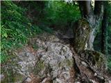 Slovenske Konjice (pokopališče) - Skala