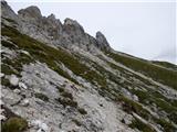 Zadnja Trenta (Flori) - Bavški Grintavec
