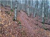 Poklon - Krog (Učka)