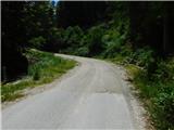 Javorje (Mala Črna) - Najevska lipa