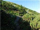 Niederalpl Ort - Hohe Veitsch