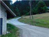 Javorje (Mala Črna) - Najevska lipa