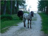 Panoramska restavracija Oben - Kordeževa glava (Peca)