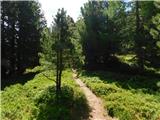 Sabathy-Hütte im Zirbenland - Zirbitzkogel