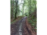 Wet path
