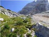 Bavšica - Zagorelec