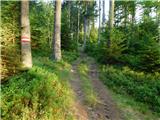 Oberfresen (Brendlwald) - Großer Speikkogel (Golica / Koralpe)