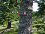 Oberfresen (Brendlwald) - Großer Speikkogel (Golica / Koralpe)