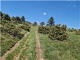 Škalnica - Pliševica