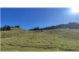 Podgorska planina ob vračanju