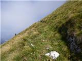 Planina Zapleč - Kal (greben Krnčice)