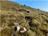 Parkirišče Hoyer (Neuhofgraben) - Lärchkogel (Glinska planina / Gleinalpe)