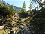 Robanov kot - Veliki vrh (Veža)